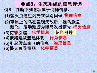 生态系统的信息传递PPT